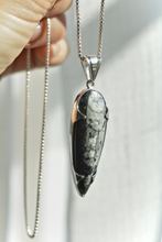 Charger l'image dans la galerie, Collier Fossil d'orthoceras &amp; argent 925
